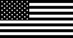 United States Flag in black and white